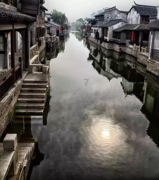 除虫大师